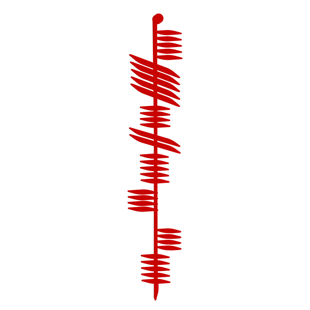 Yes Sir (Celtic Ogham Script- IS TIGERN)