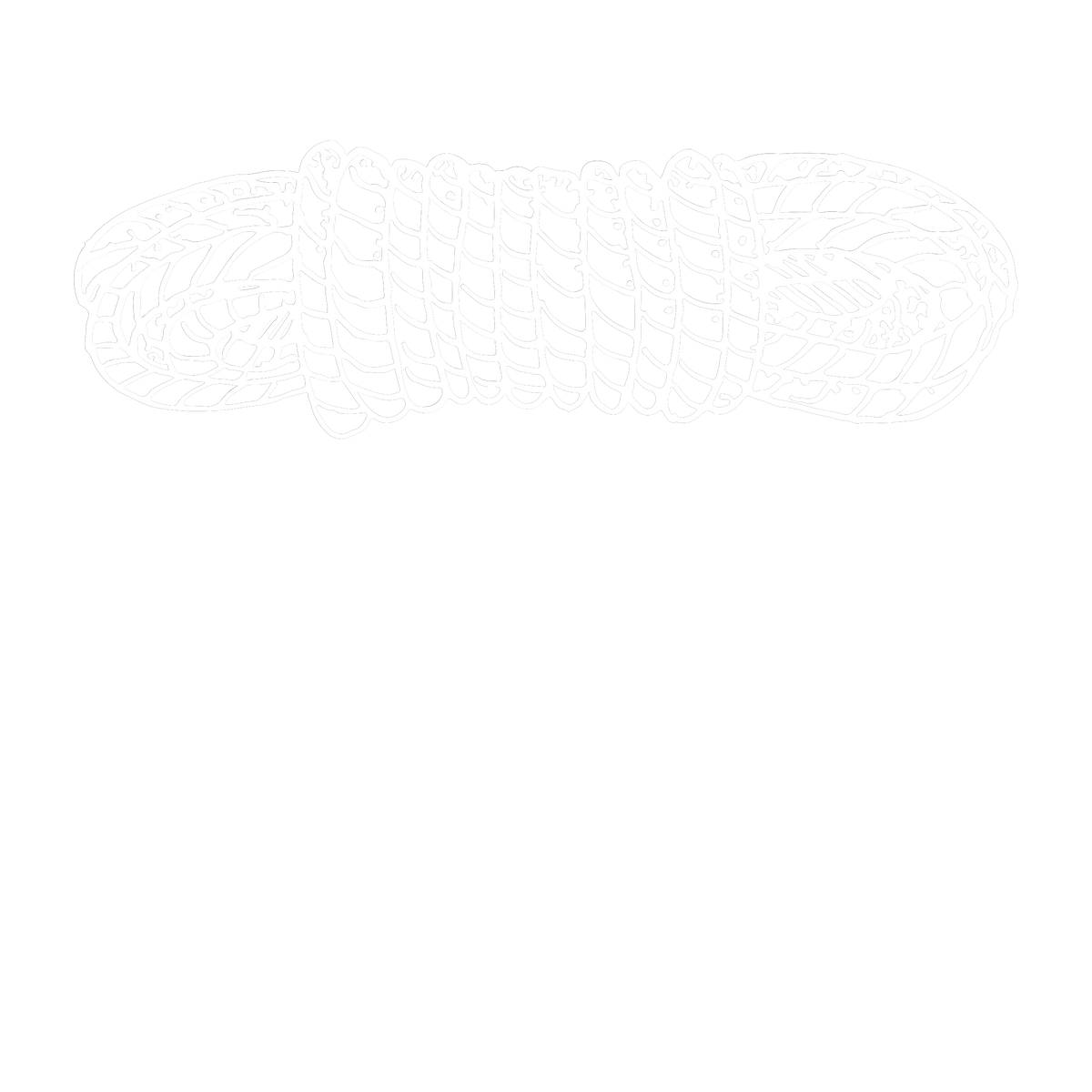 Rope Switch