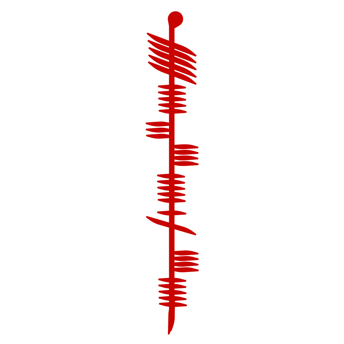 Yes Master (Celtic Ogham Script- IS MAISTIR)